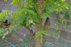LINE_ALBUM_วิจัยผ้า-20165_220120_148