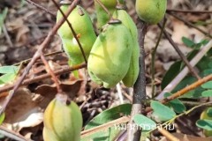 LINE_ALBUM_วิจัยผ้า-20165_220120_169