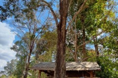 LINE_ALBUM_วิจัยผ้า-20165_220120_185