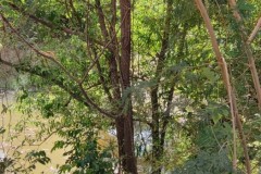 LINE_ALBUM_วิจัยผ้า-20165_220120_189