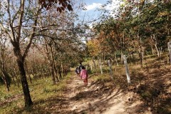 LINE_ALBUM_วิจัยผ้า-20165_220120_1_0