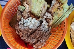 LINE_ALBUM_วิจัยผ้า-20165_220120_83