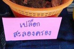 LINE_ALBUM_วิจัยผ้า-20165_220120_90